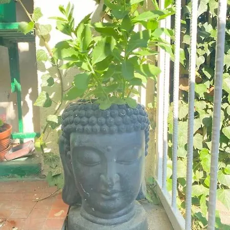 Oaza Borek - Stylowy 公寓 弗罗茨瓦夫