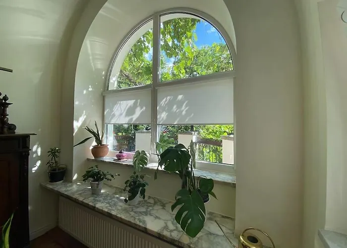 Oaza Borek - Stylowy