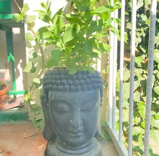 Oaza Borek - Stylowy 公寓 弗罗茨瓦夫