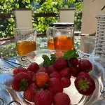 Oaza Borek - Stylowy Apartmán