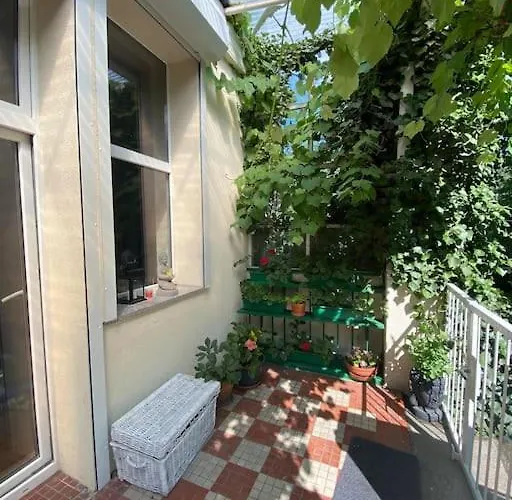 Oaza Borek - Stylowy *